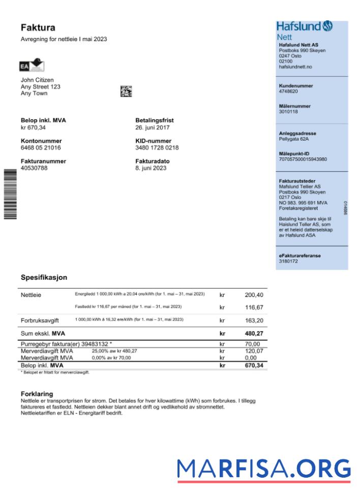 Blank Norway Hafslund utility bill Word and PDF template